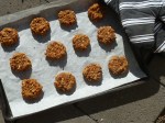 Vegan Carrot Walnut Cookies