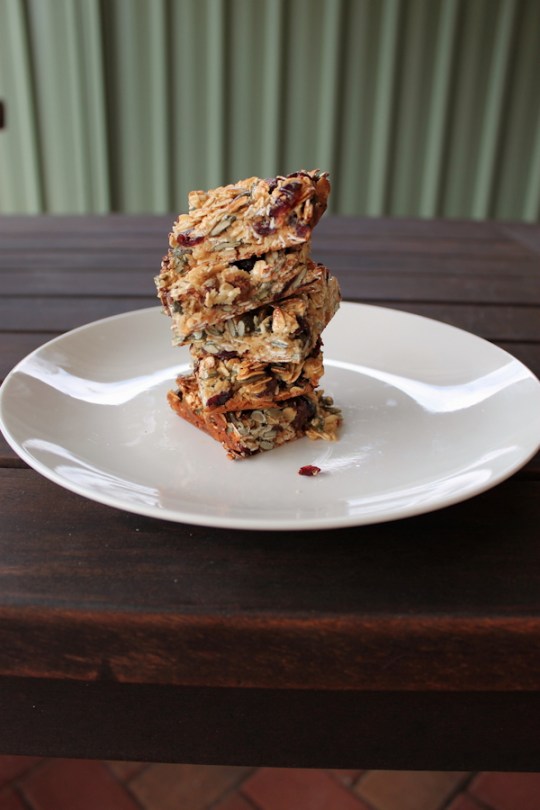 Action Packed Hiking Bars