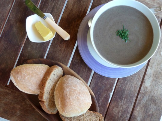 Mushroom Soup