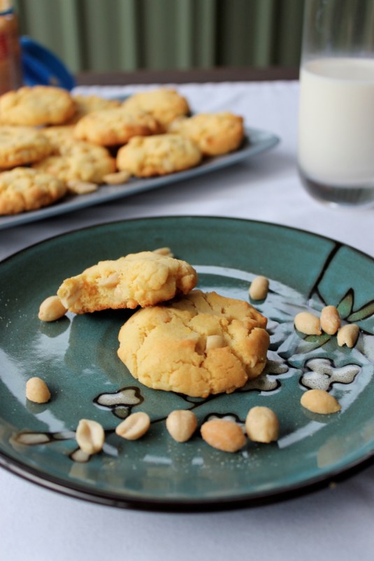 Peanut Cookies