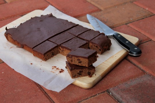 Chocolate Sultana Slice