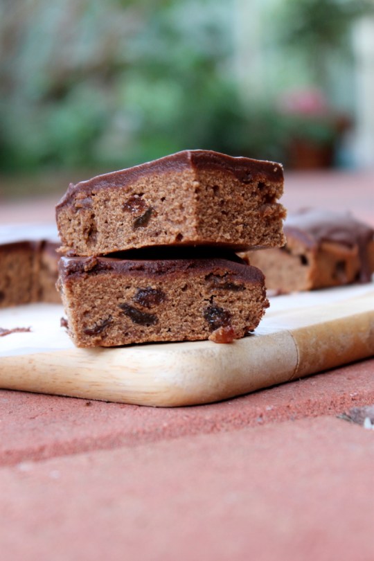 Chocolate Sultana Slice