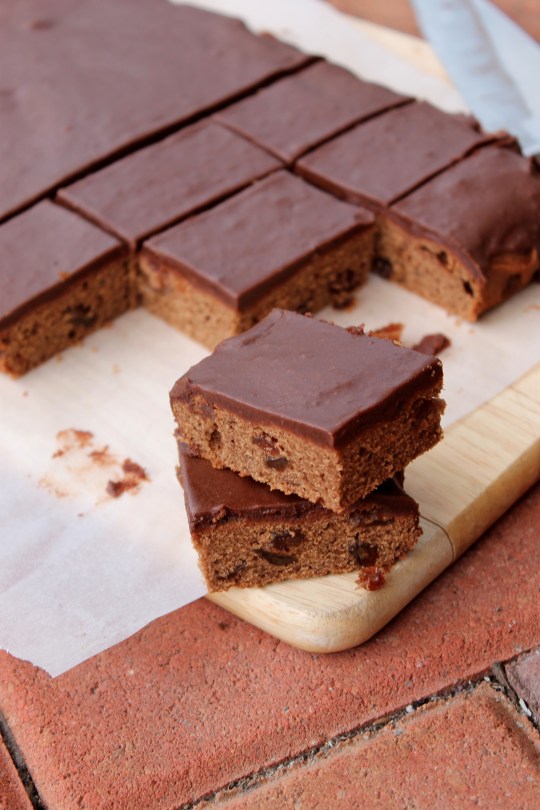 Chocolate Sultana Slice
