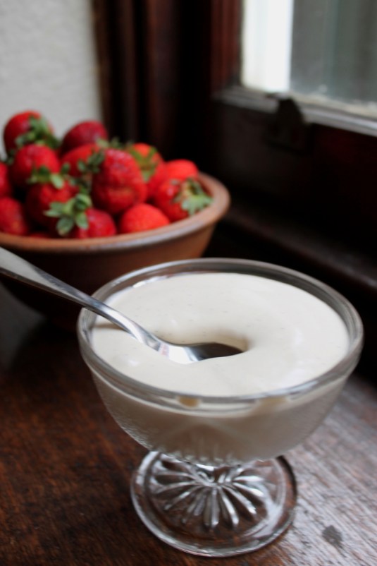 Dairy Free Coconut Custard