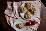 Nectarine & White Chocolate Spelt Scones